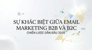 Sự khác biệt giữa Email Marketing B2B và B2C: Chiến lược dẫn đầu 2026